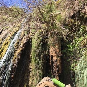 Meet your Posher, Kristie